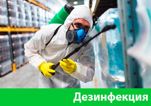 Дезинфекция в городе Новочебоксарск