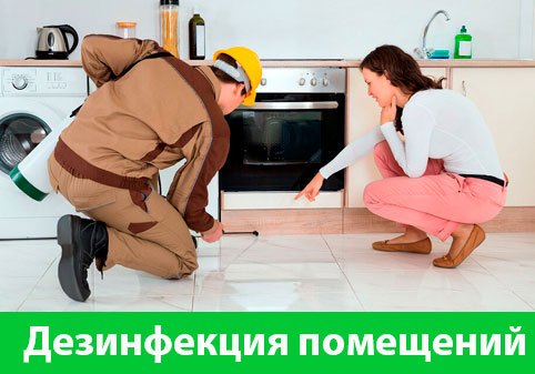 Дезинфекция офисов от коронавируса в городе Новочебоксарск