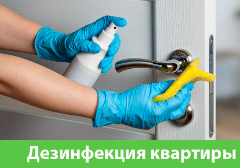 Дезинфекция квартиры в городе Новочебоксарск