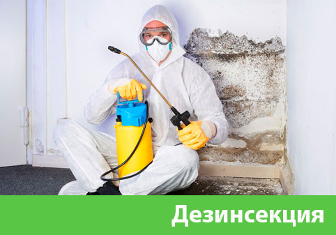 Дезинсекция в городе Новочебоксарск