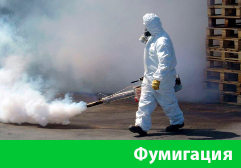 Фумигация в городе Новочебоксарск