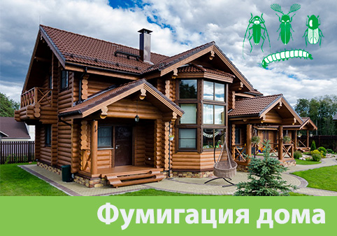 Преимущества обработки газом в городе Новочебоксарск