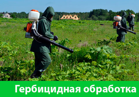 Гербицидная обработка в городе Новочебоксарск