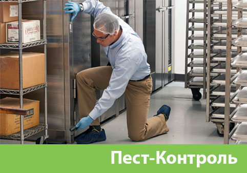 Пэст-Контроль в городе Новочебоксарск