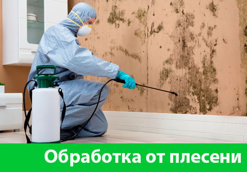Обработка от плесени в городе Новочебоксарск