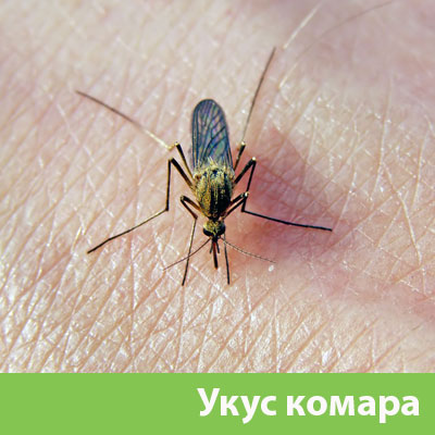 Укусы комаров в Новочебоксарске