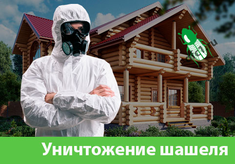 Уничтожение шашеля и личинок в Новочебоксарске