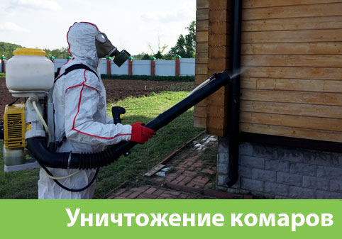 Уничтожение комаров в городе Новочебоксарск